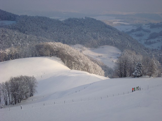 ../Images/Jagd 026.jpg